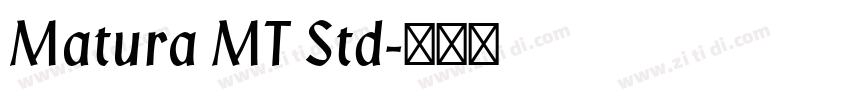Matura MT Std字体转换